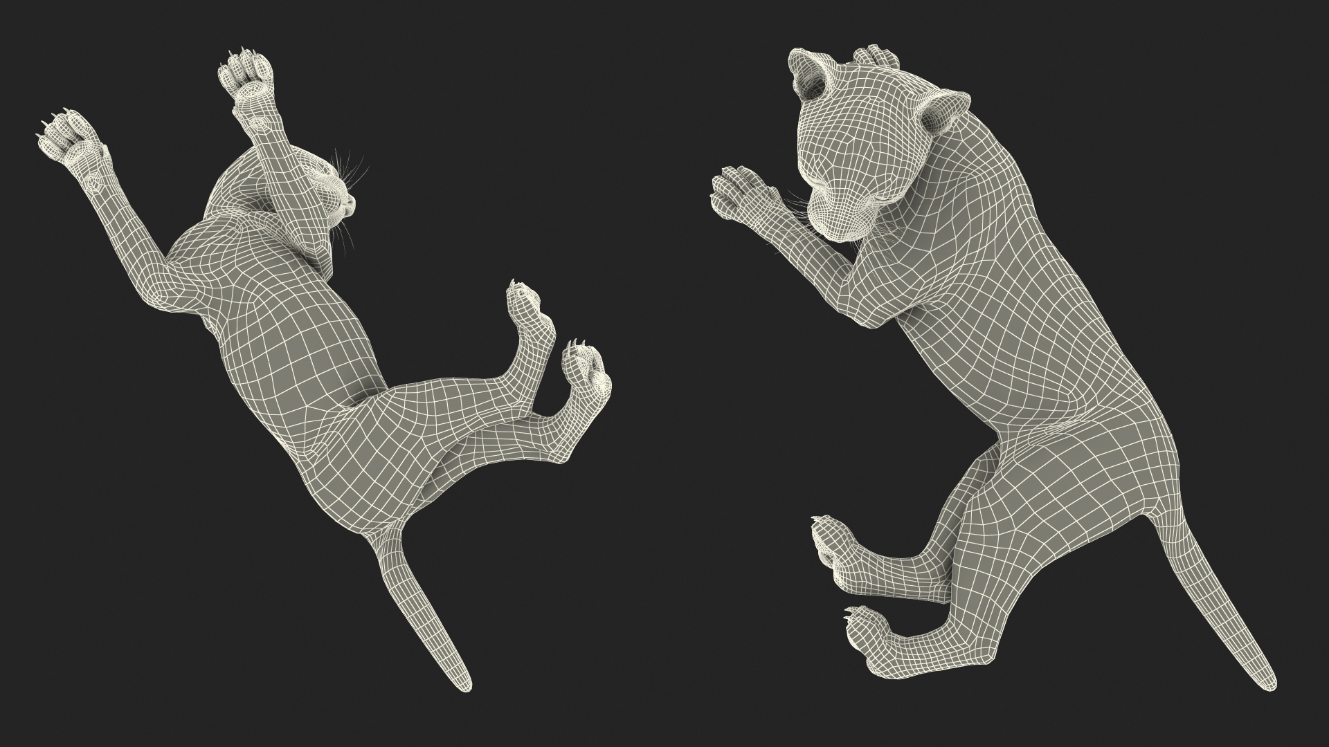 Cheetah Cub Lying Pose 3D