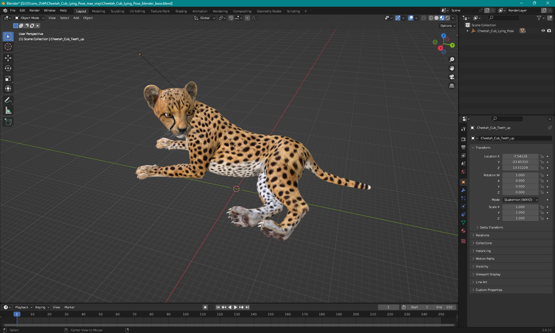 Cheetah Cub Lying Pose 3D