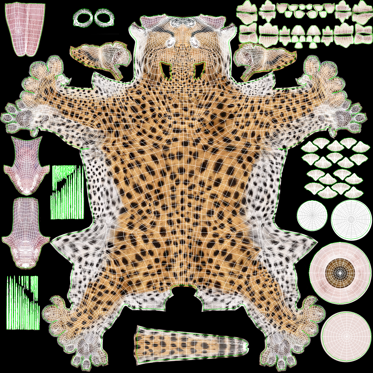 Cheetah Cub Lying Pose 3D