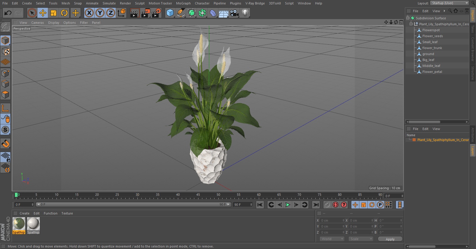 Plant Lily Spathiphyllum In Ceramic Pot 3D model