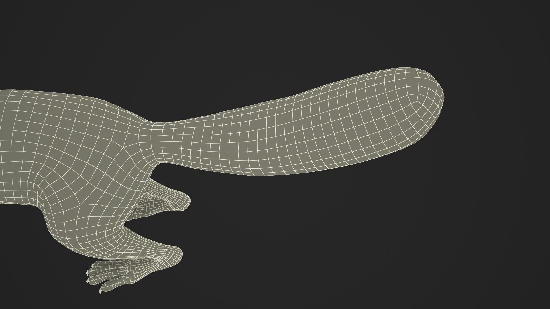 Gray Squirrel Fur Rigged 3D model