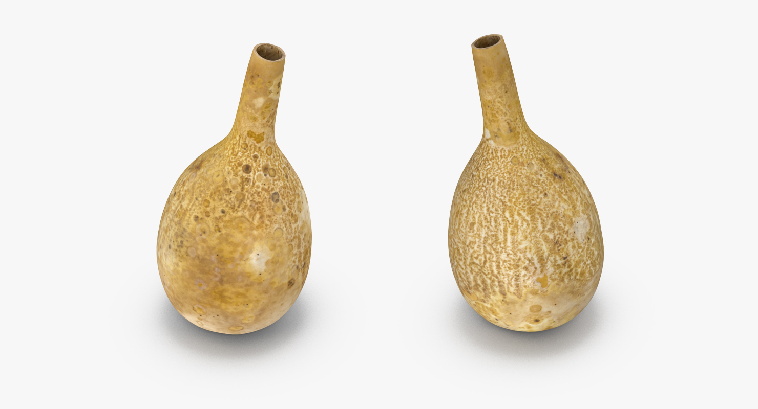 3D model Gourd Water Container Calabash