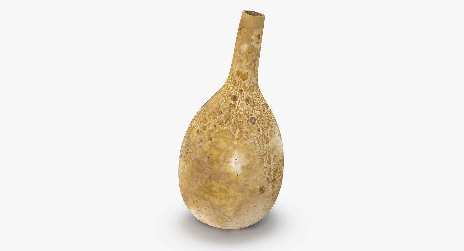 3D model Gourd Water Container Calabash