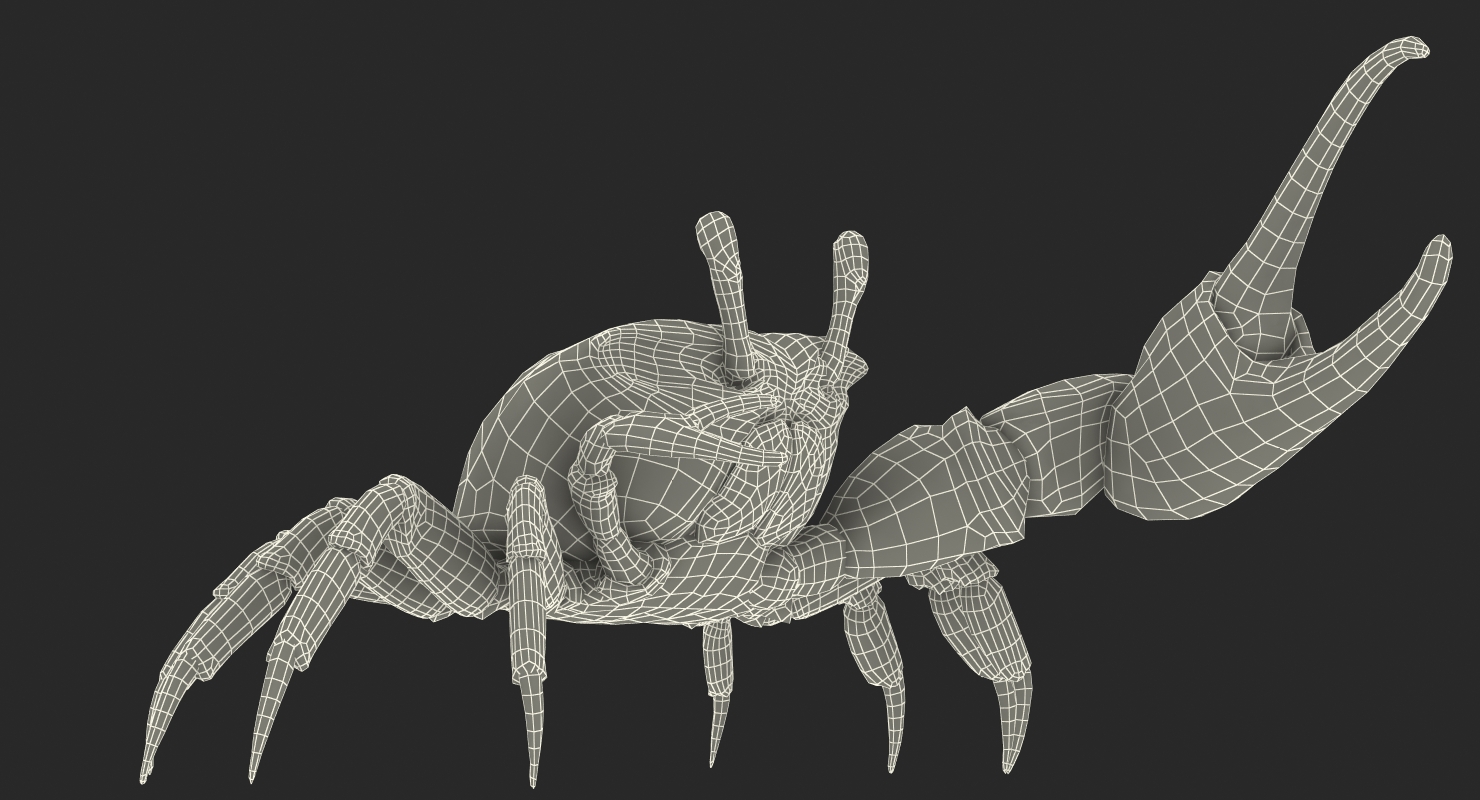 3D model Fiddler Crab Fighting Pose with Fur