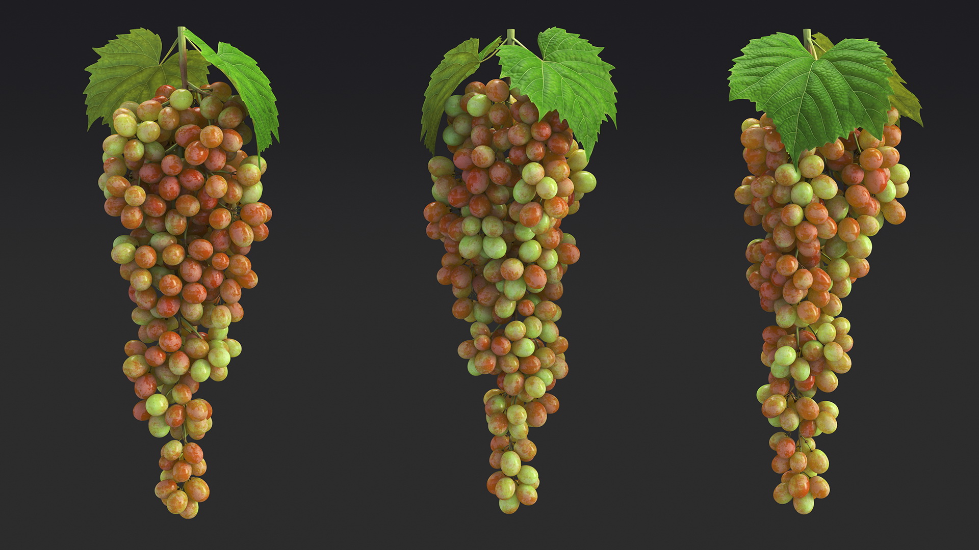 3D Pink Sultana Grape Cluster