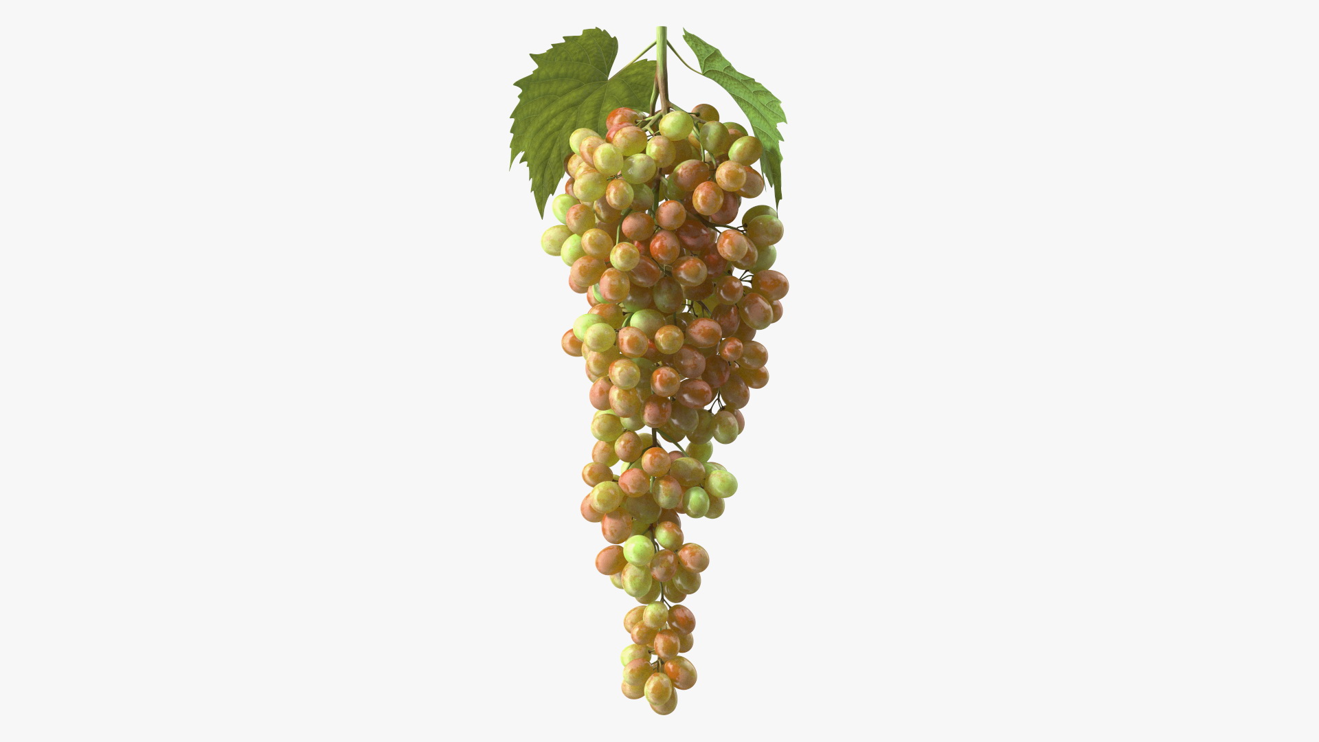 3D Pink Sultana Grape Cluster