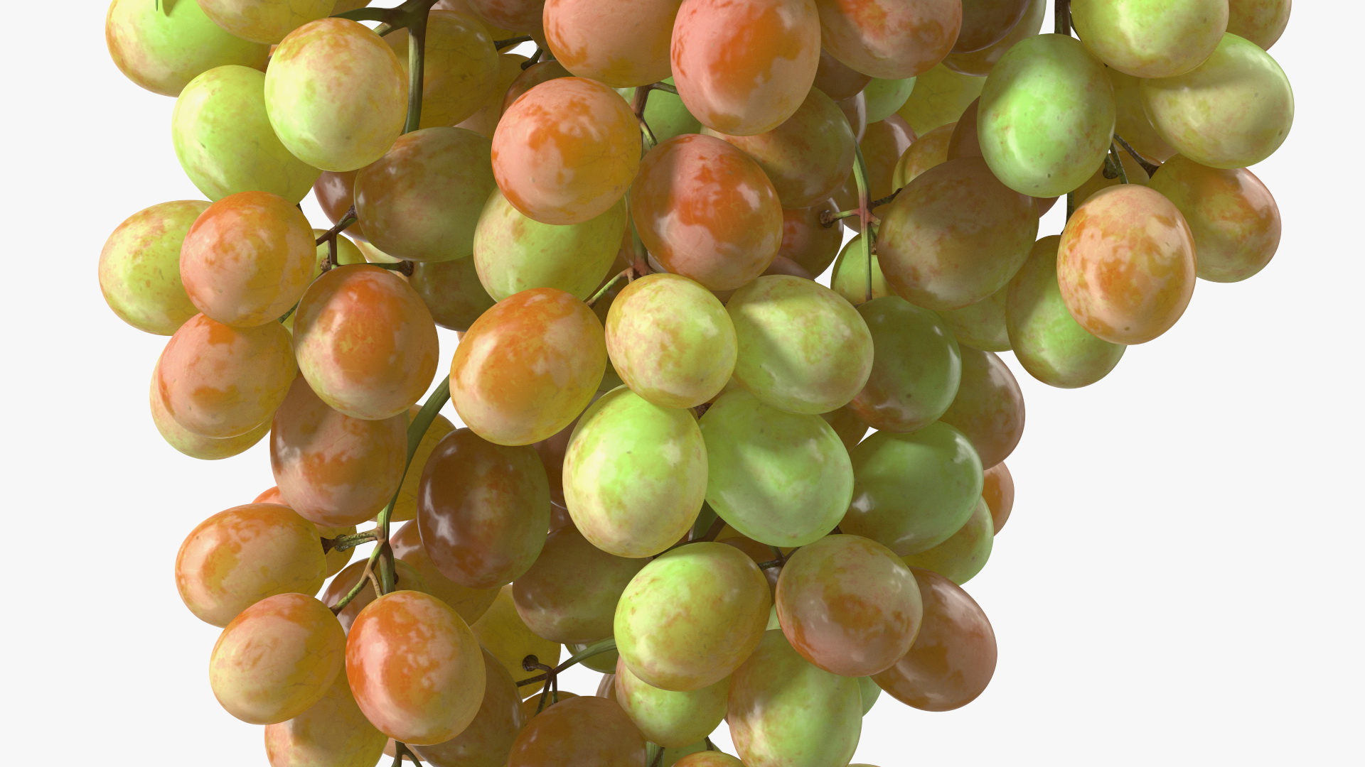 3D Pink Sultana Grape Cluster