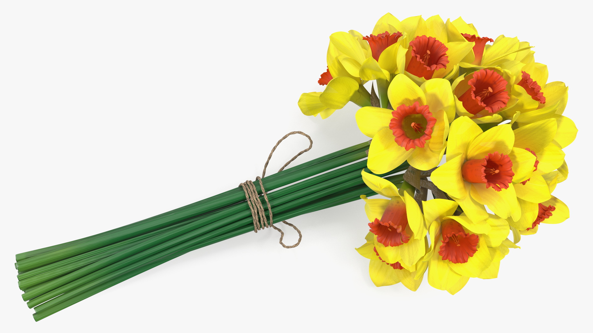 Yellow Daffodils Bouquet 3D model