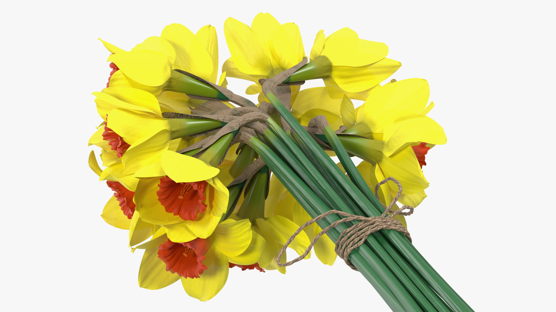 Yellow Daffodils Bouquet 3D model