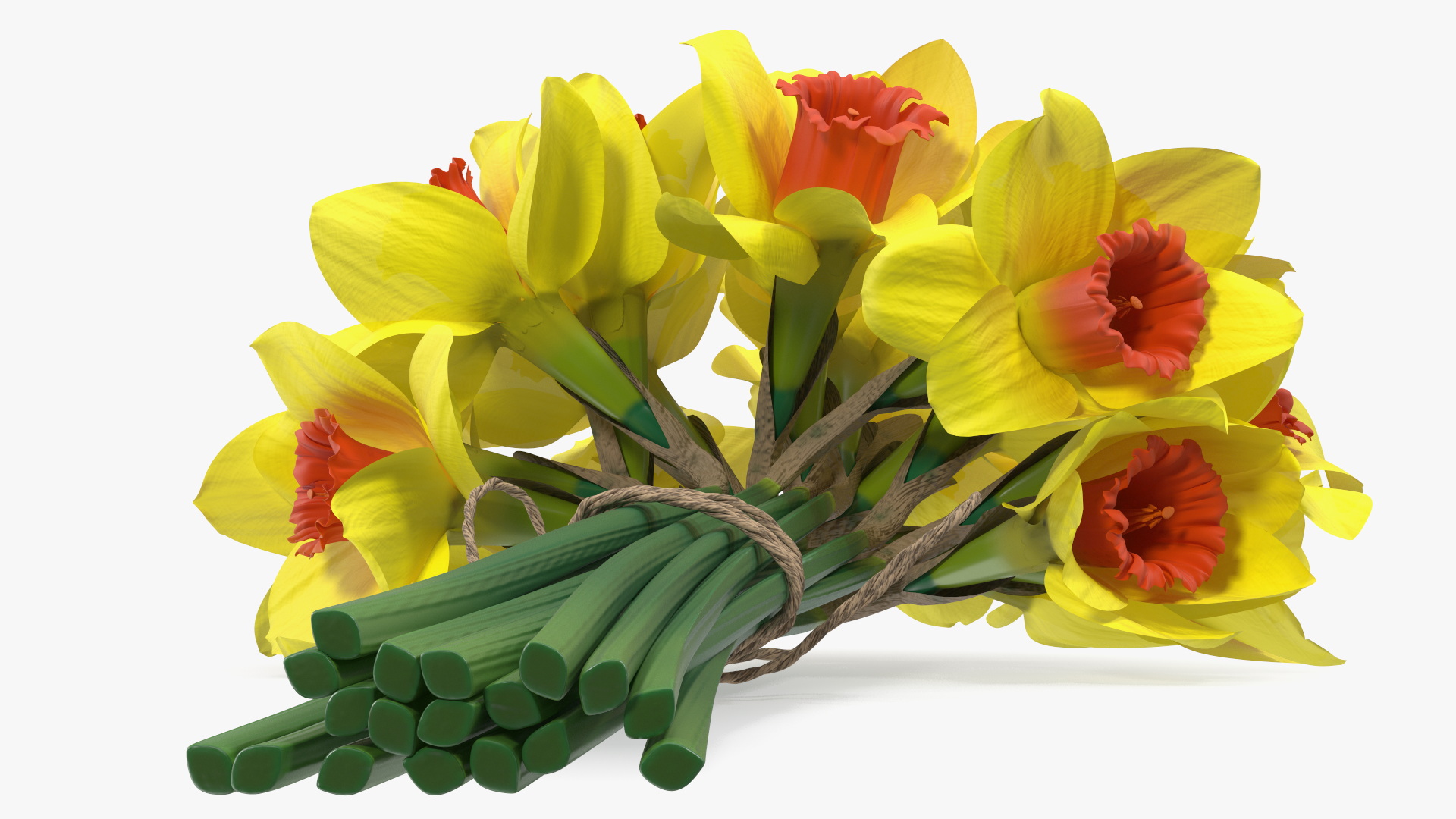 Yellow Daffodils Bouquet 3D model