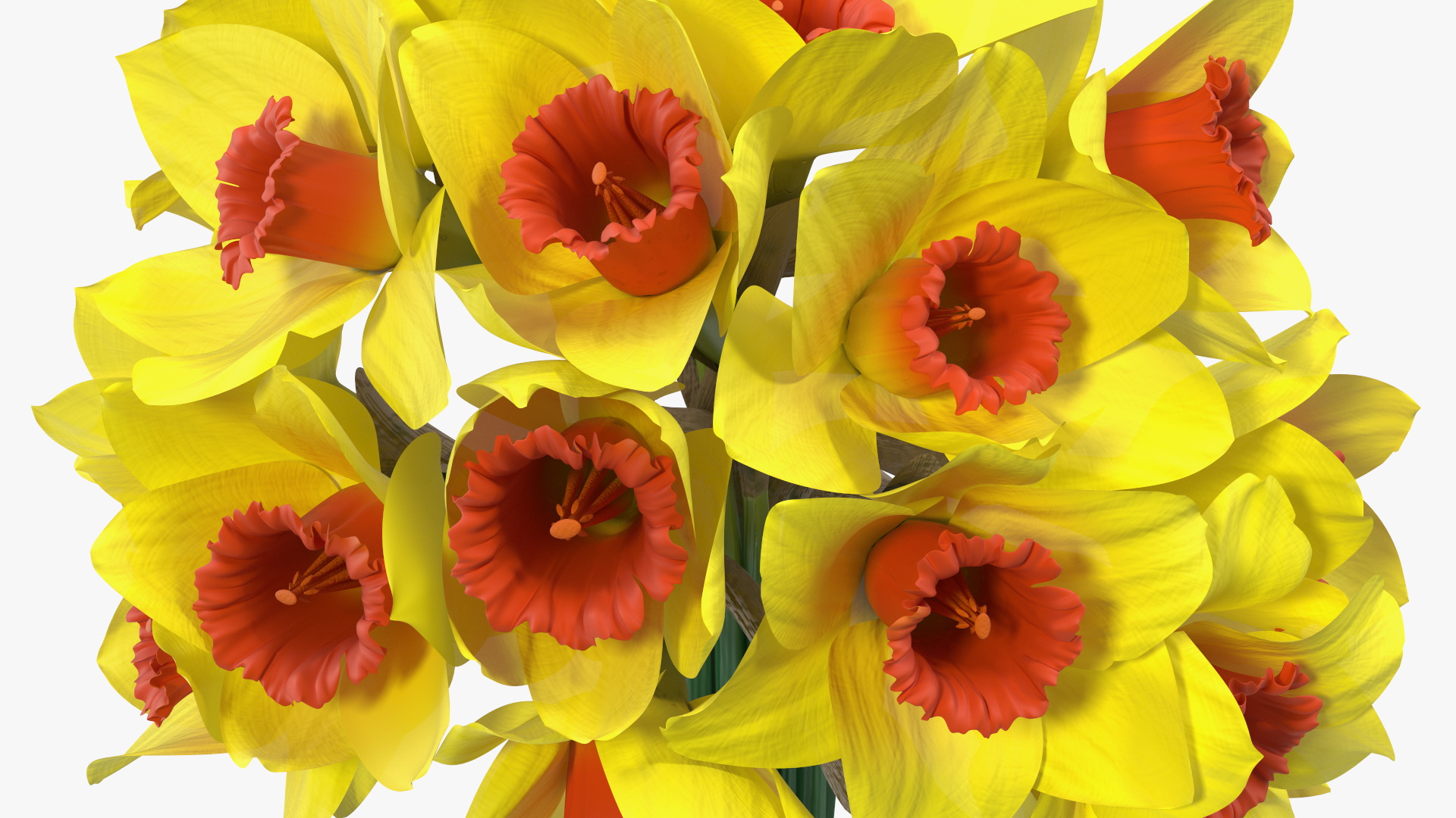 Yellow Daffodils Bouquet 3D model