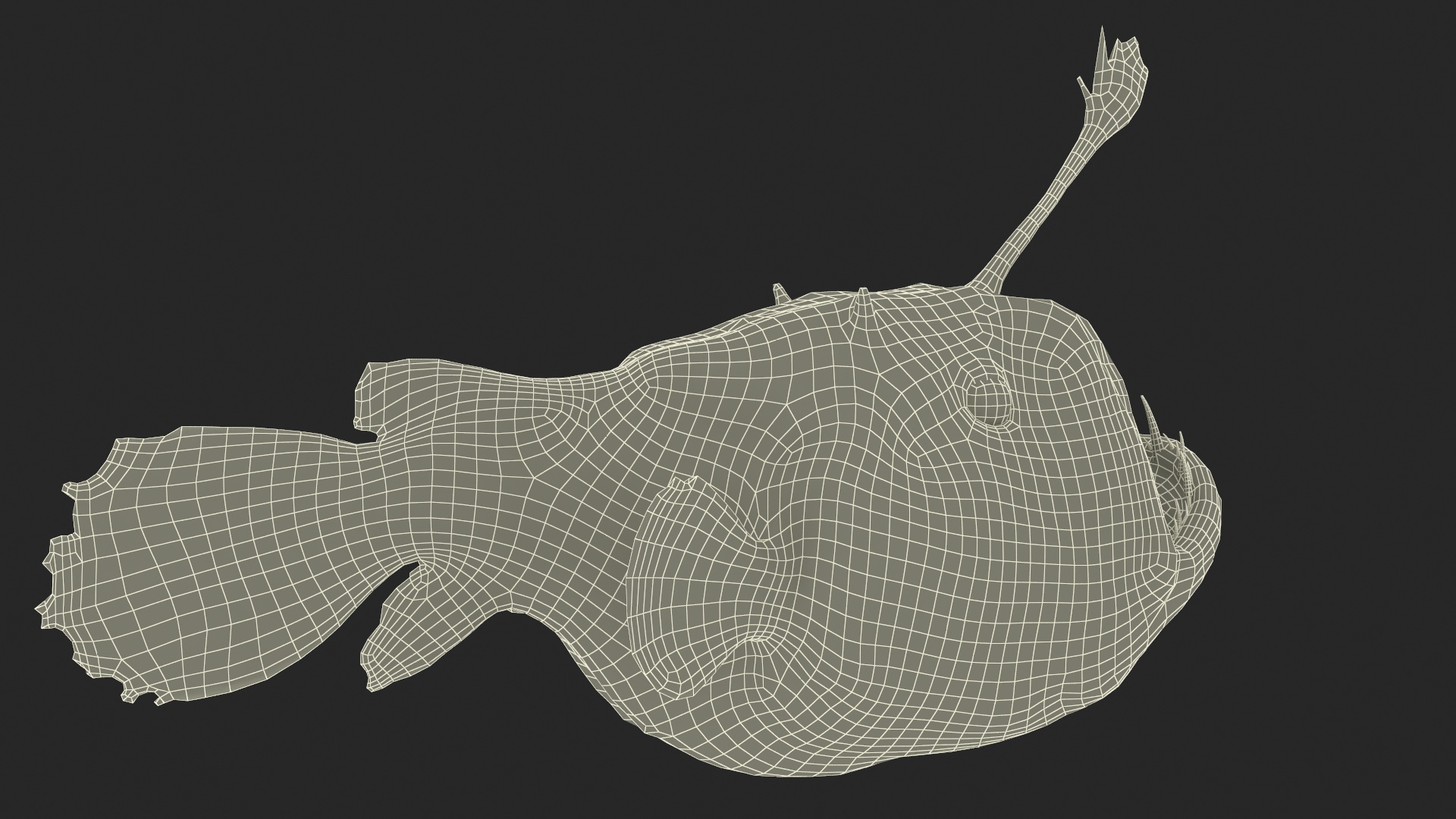 3D model Anglerfish