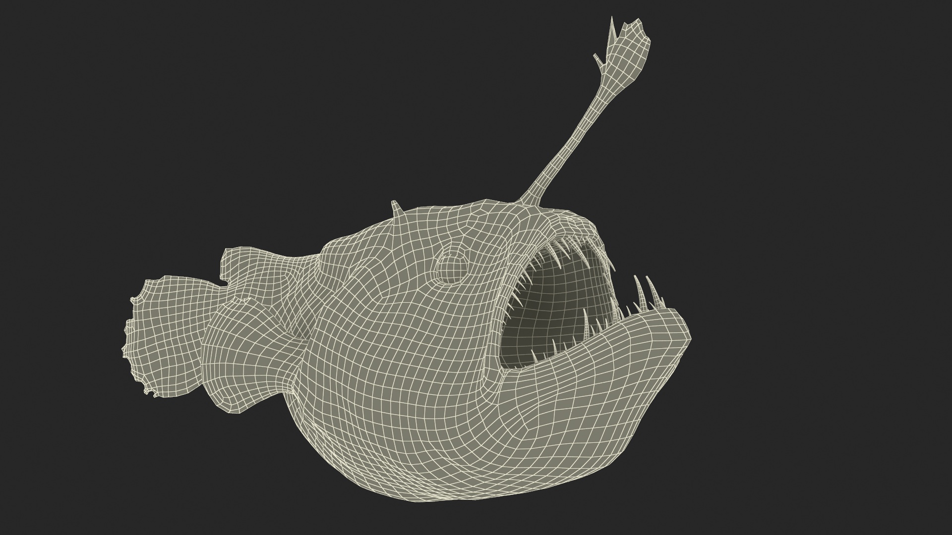 3D model Anglerfish