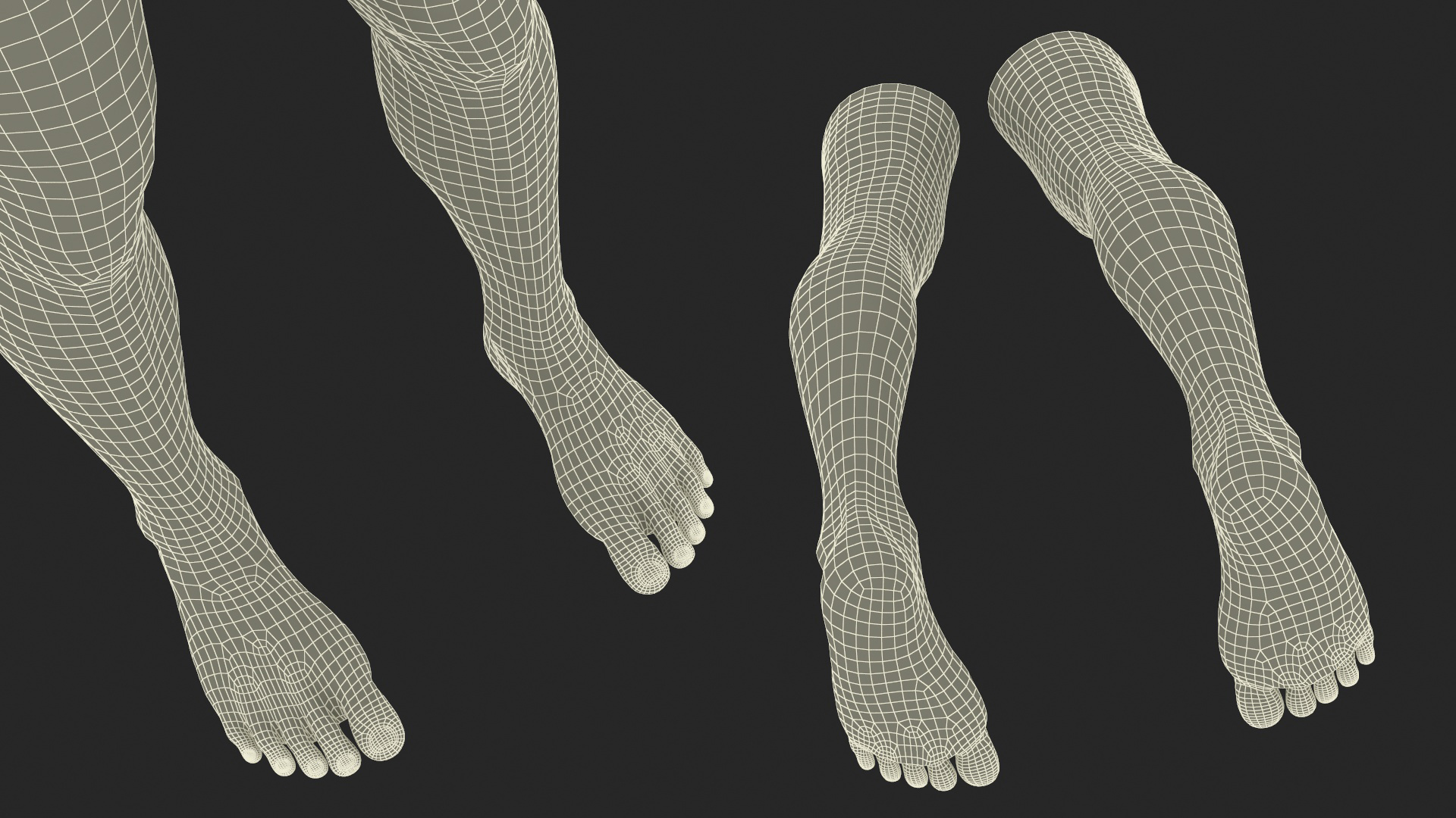 3D model Realistic Human Male Legs