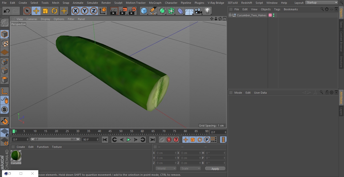 Cucumber Two Halves 3D model