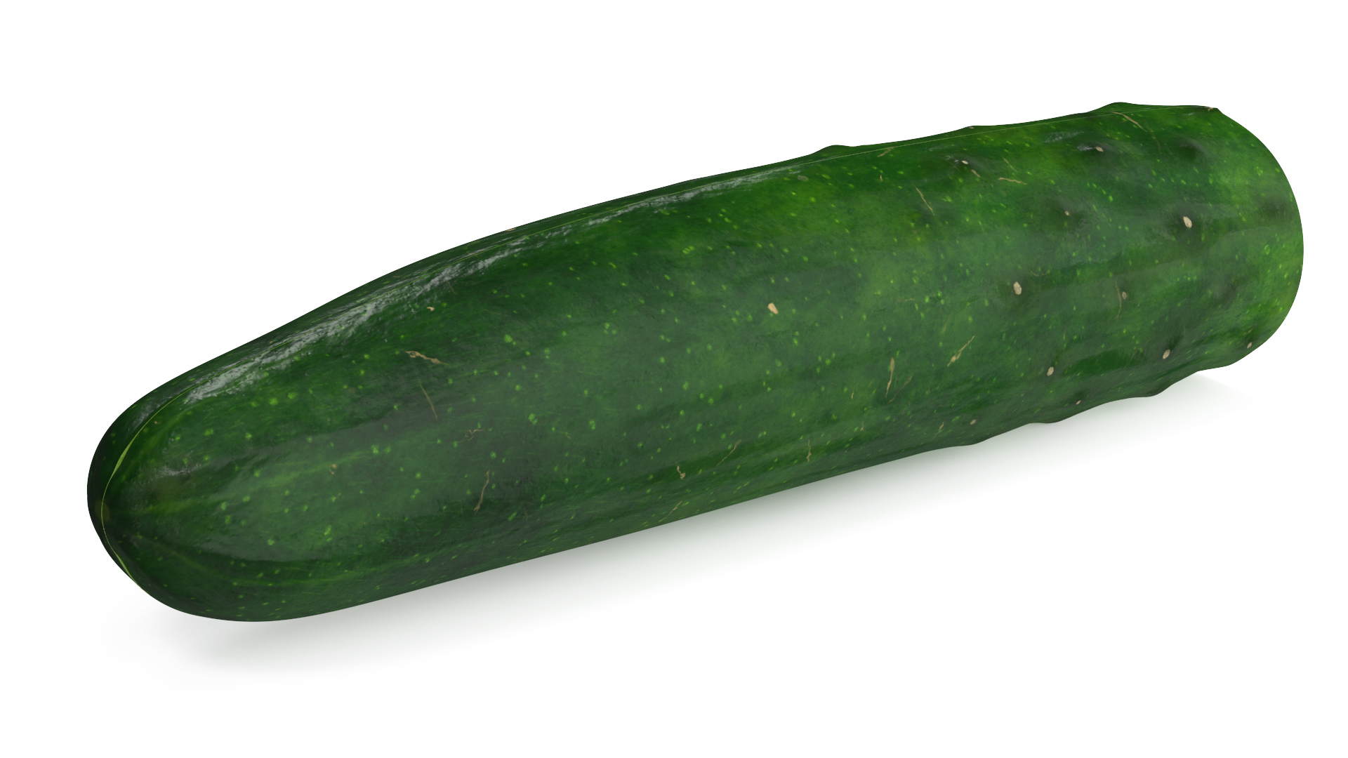 Cucumber Two Halves 3D model