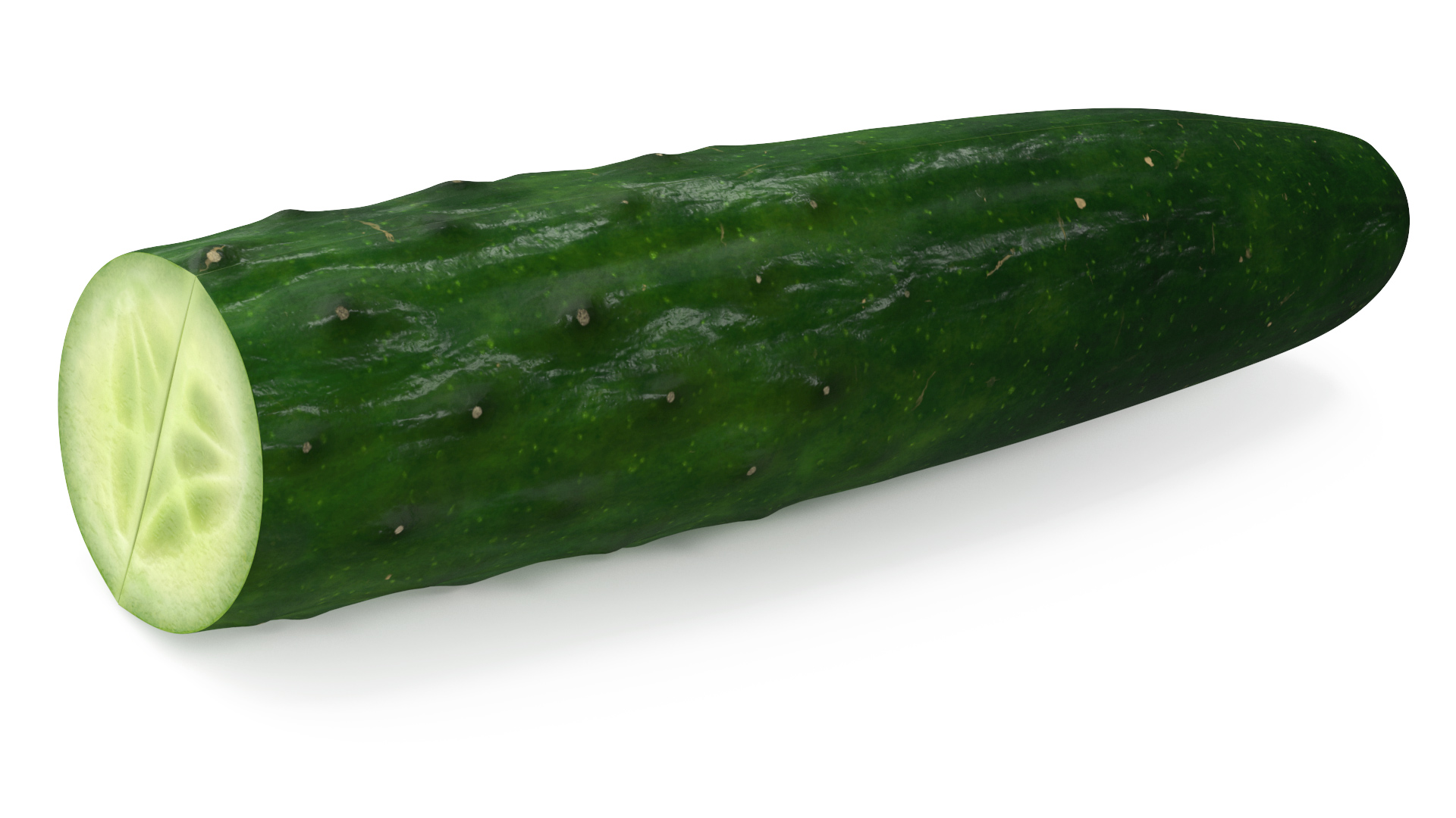 Cucumber Two Halves 3D model