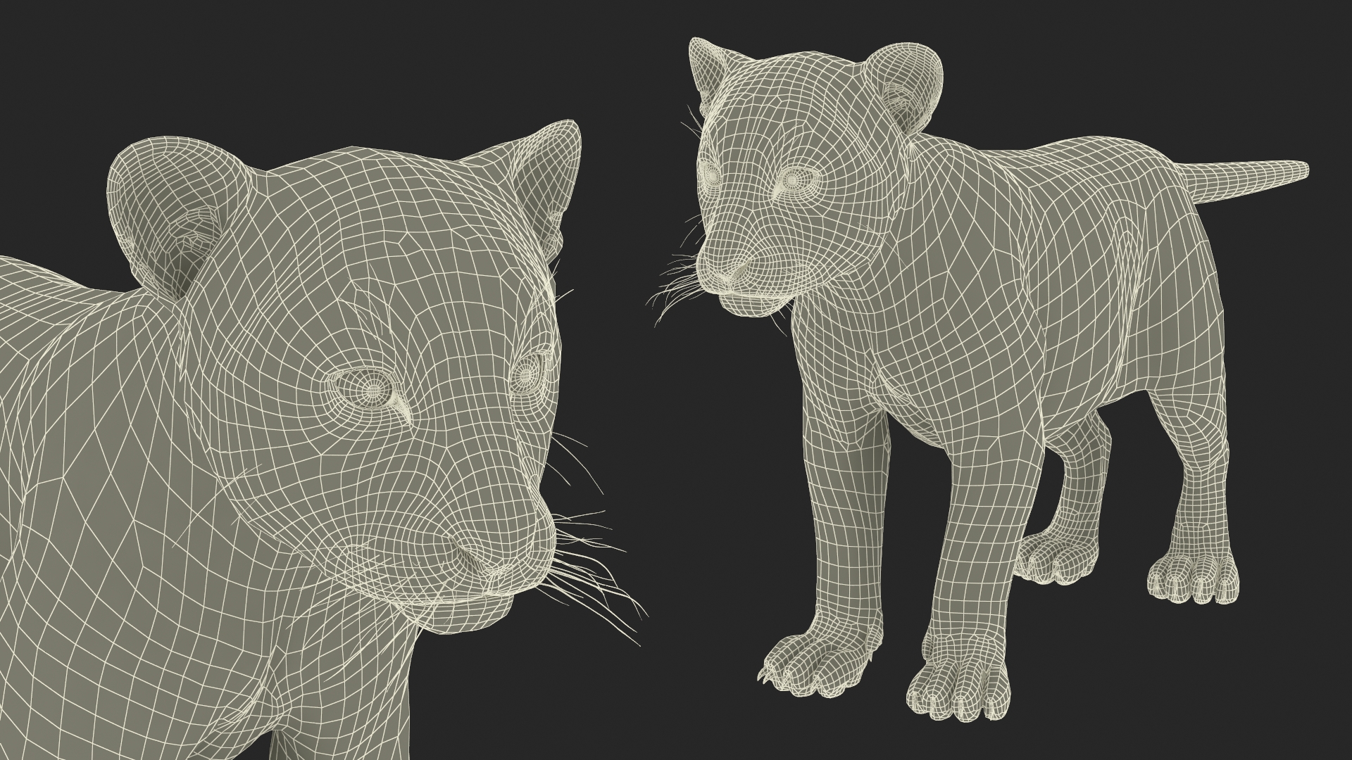 Tiger Cub 3D model