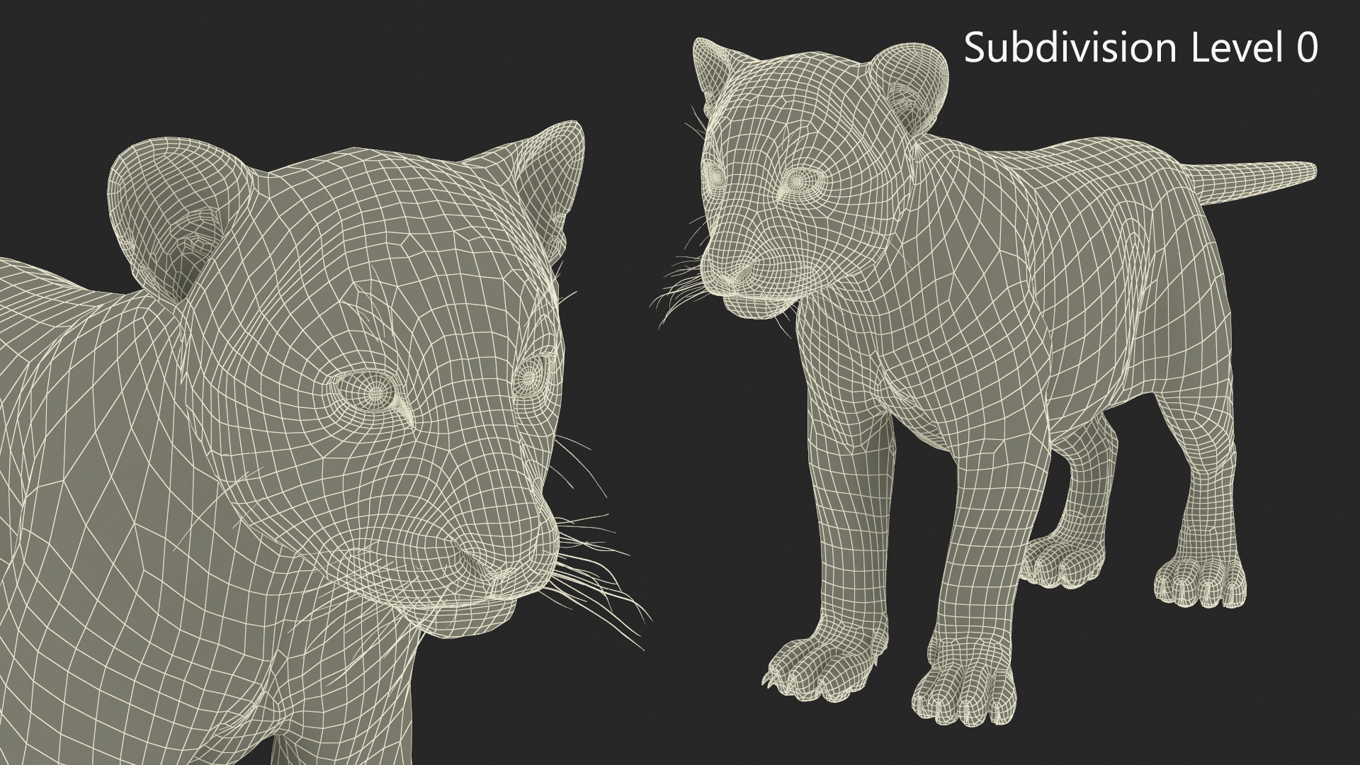 Tiger Cub 3D model