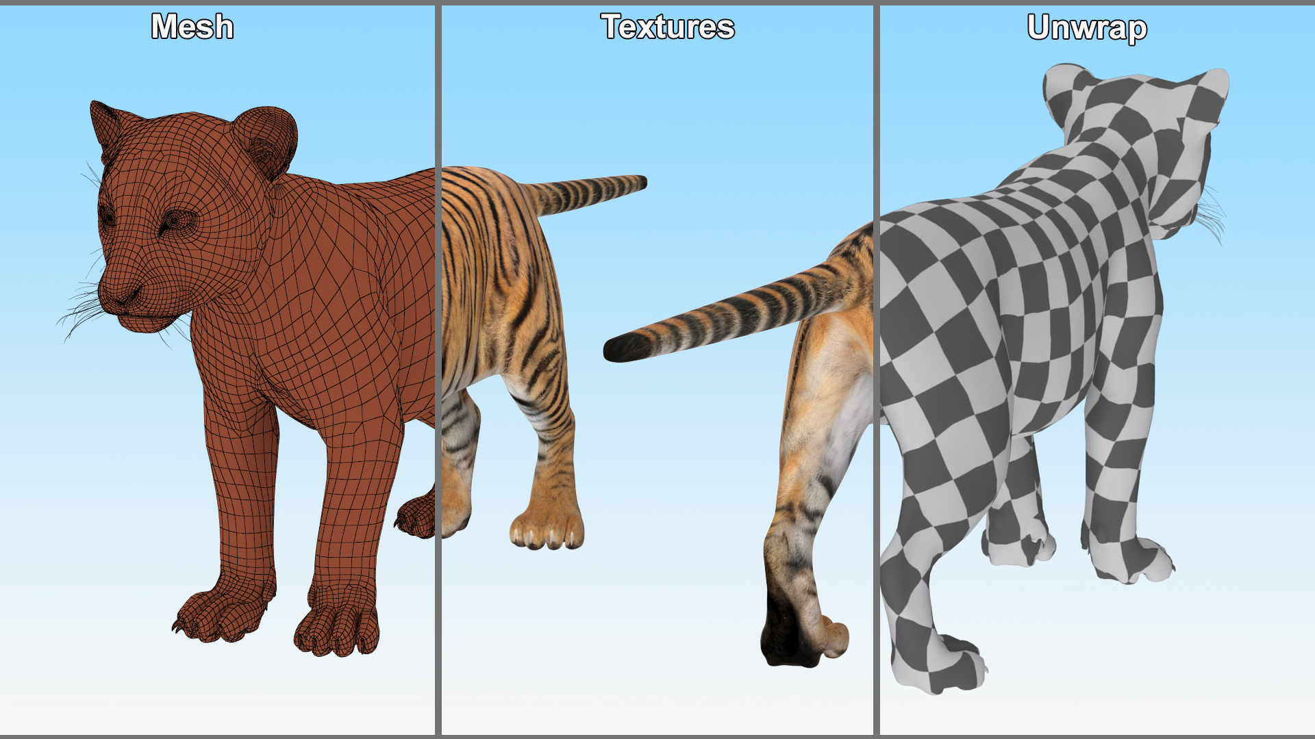 Tiger Cub 3D model