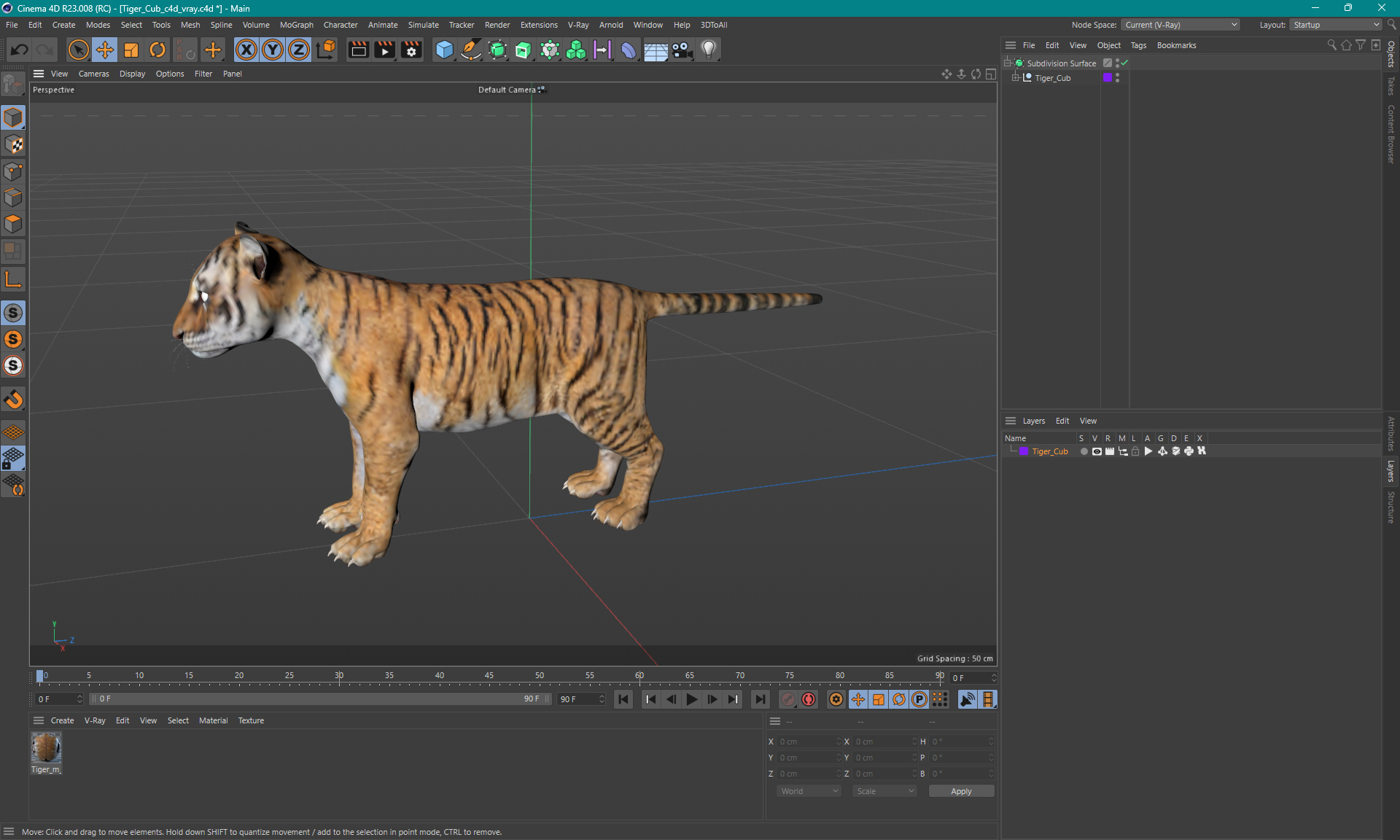 Tiger Cub 3D model