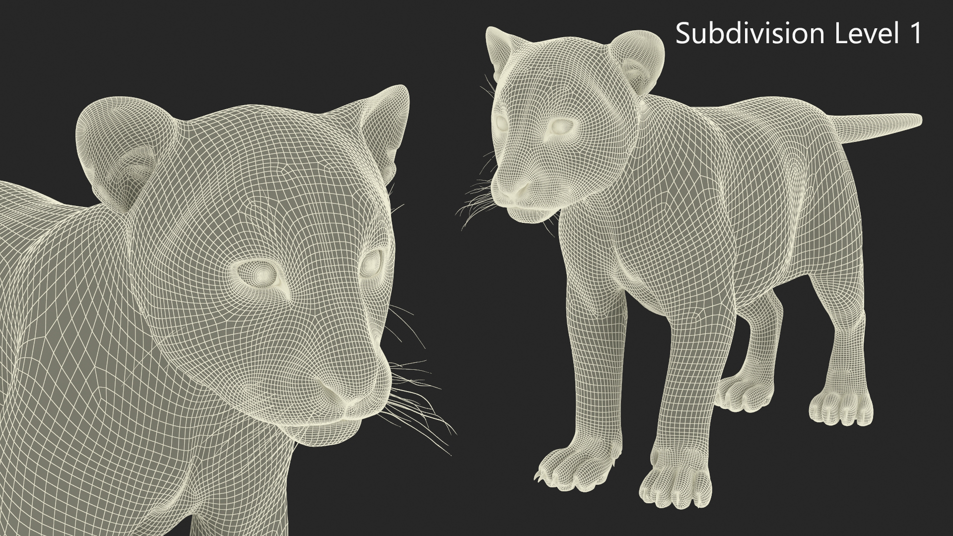 Tiger Cub 3D model