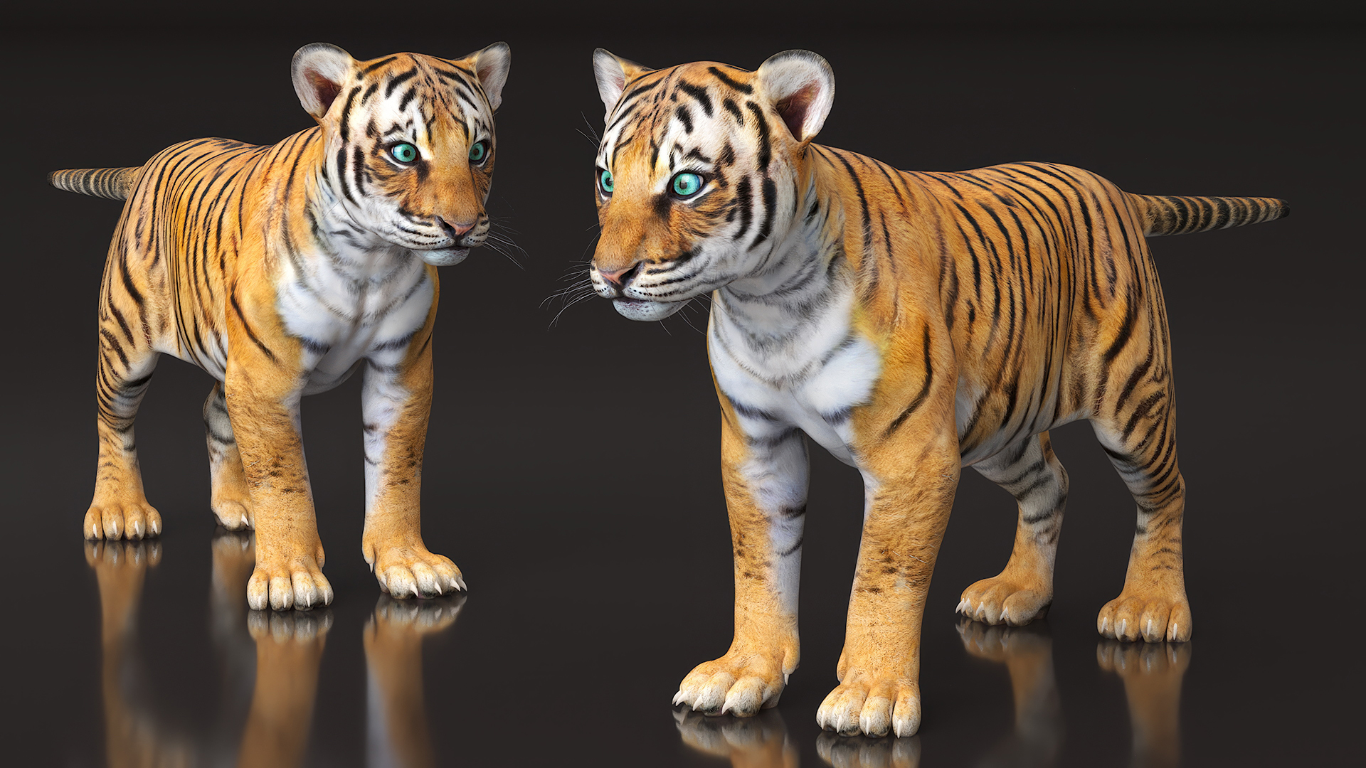 Tiger Cub 3D model