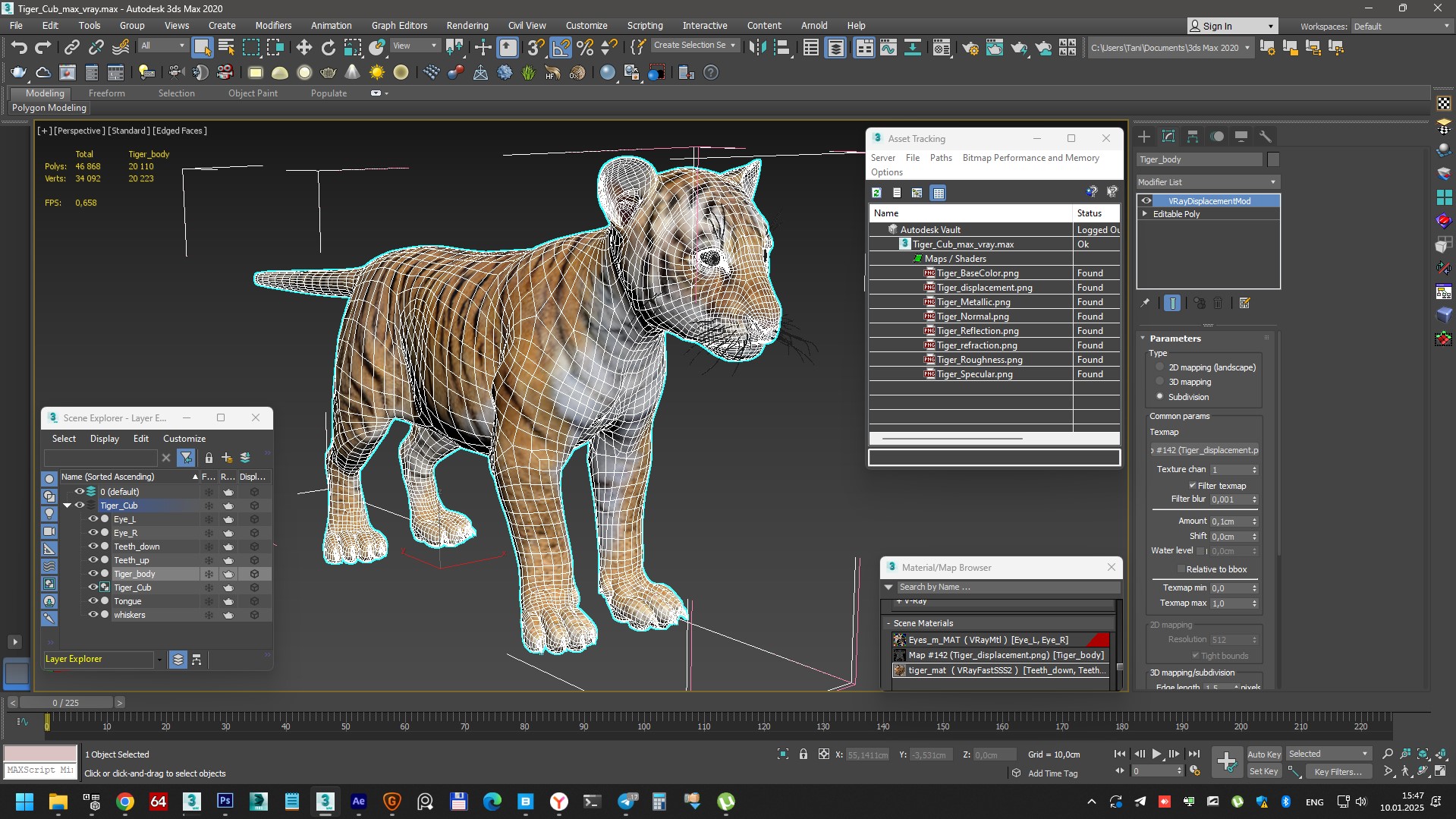 Tiger Cub 3D model