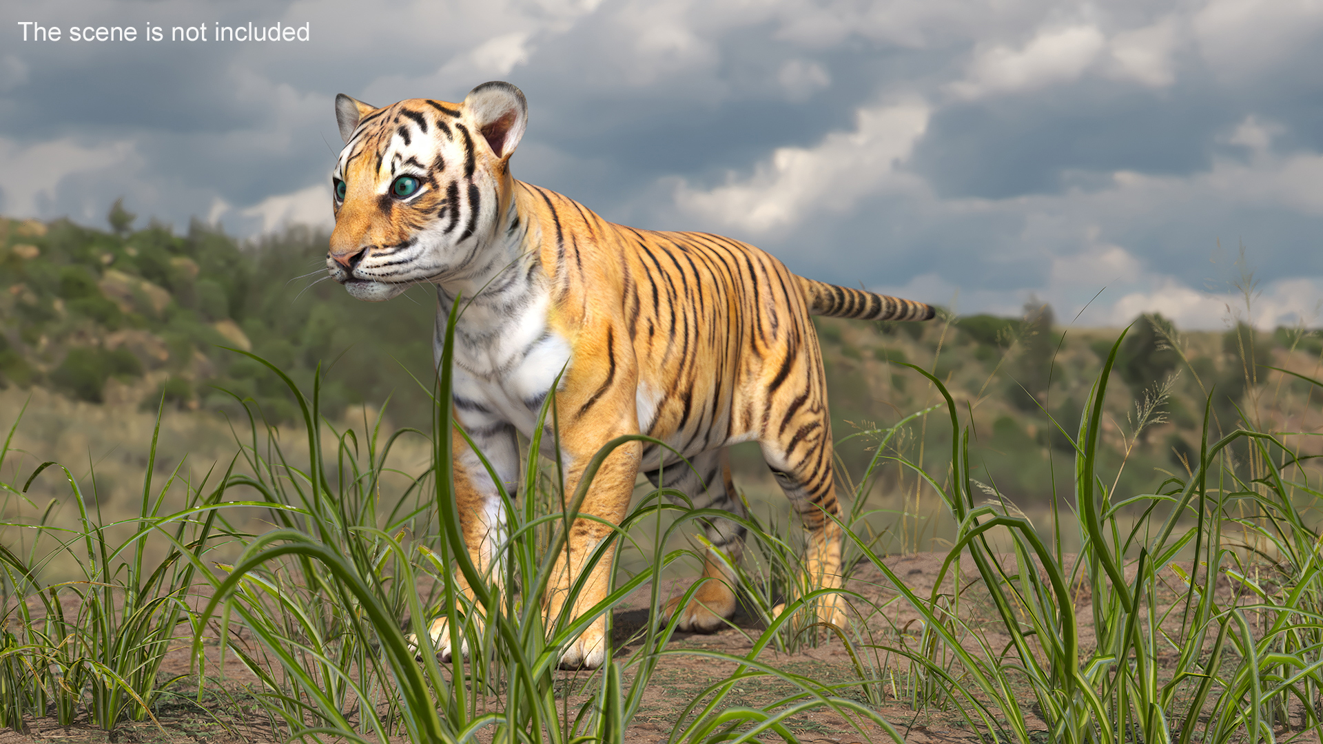 Tiger Cub 3D model