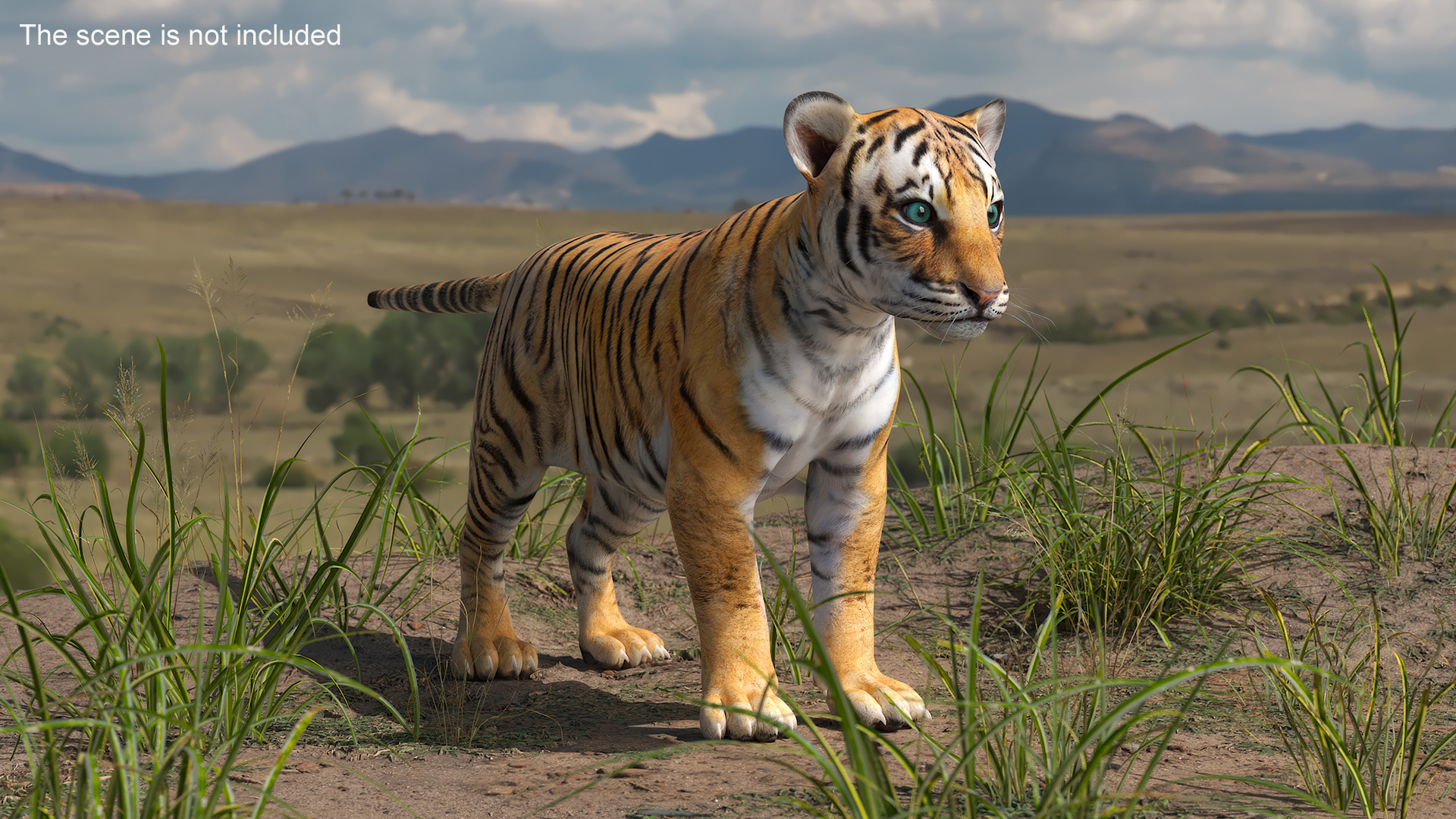 Tiger Cub 3D model