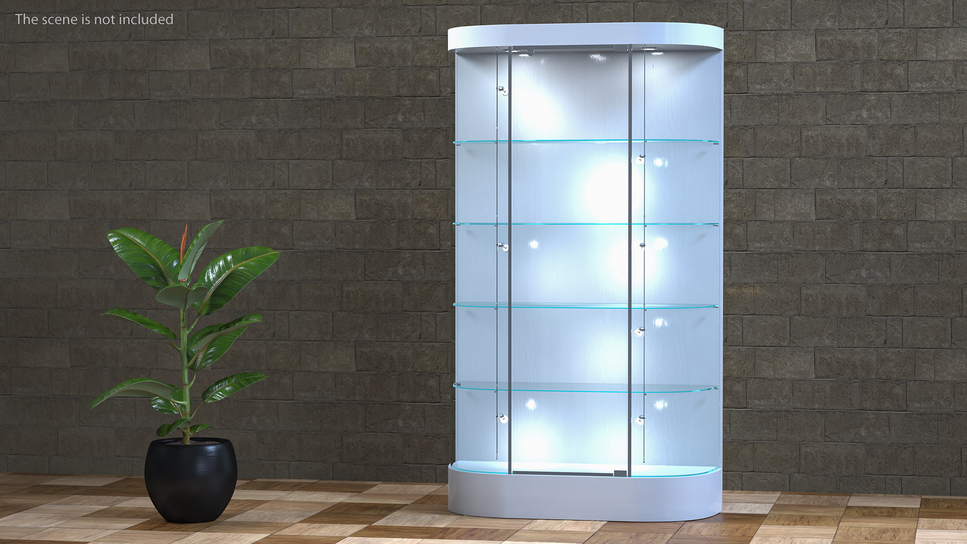 3D model Curved Wall Display Case White