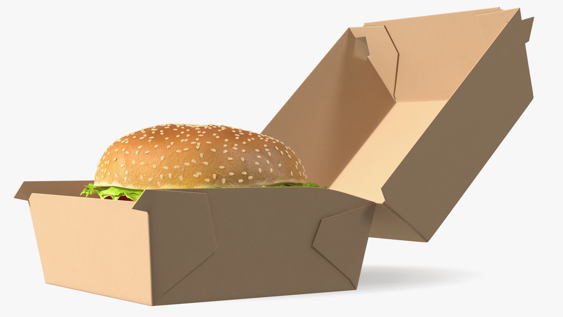 3D Burger Box Brown with Hamburger