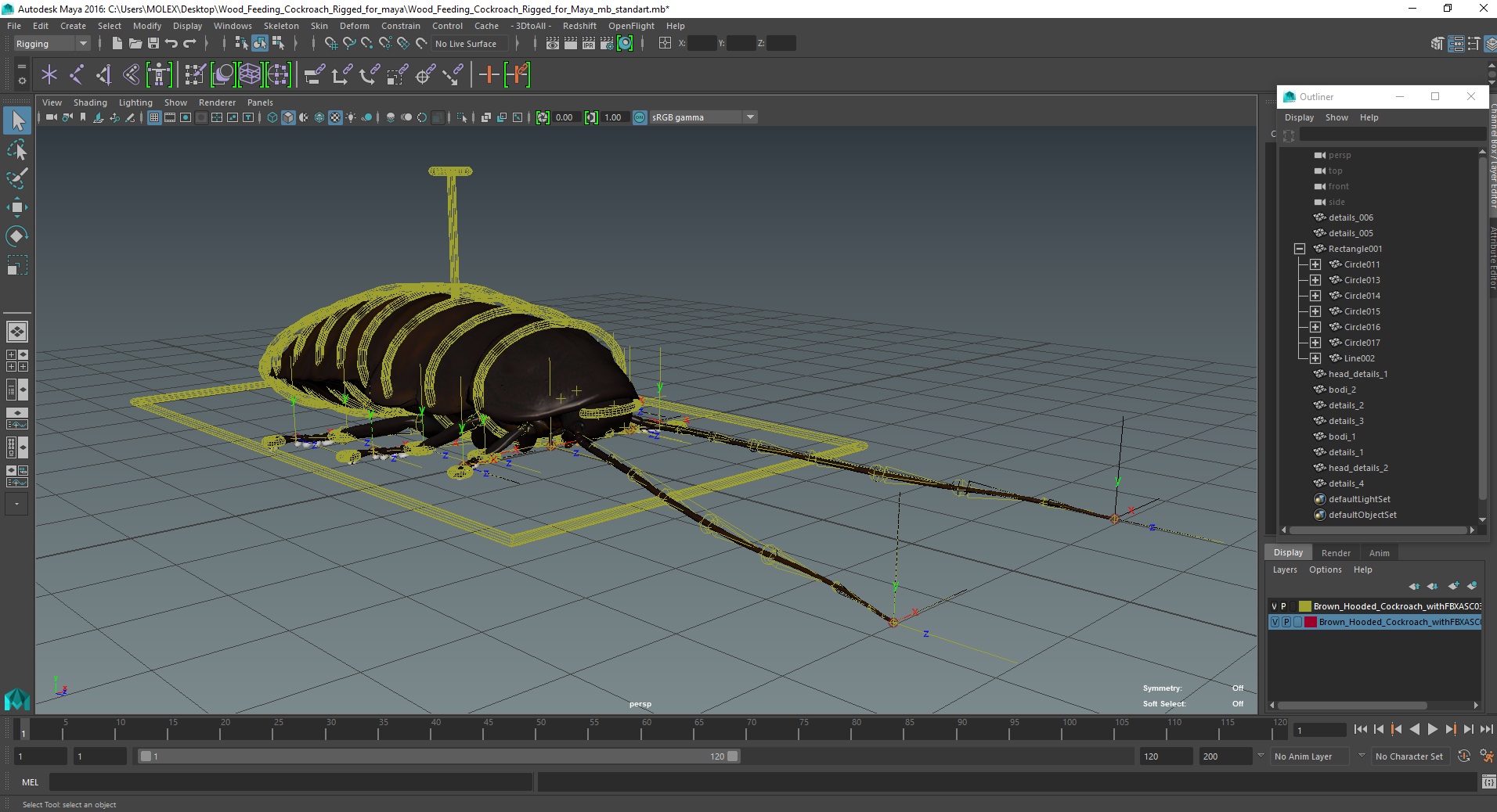 3D Wood Feeding Cockroach Rigged for Maya model