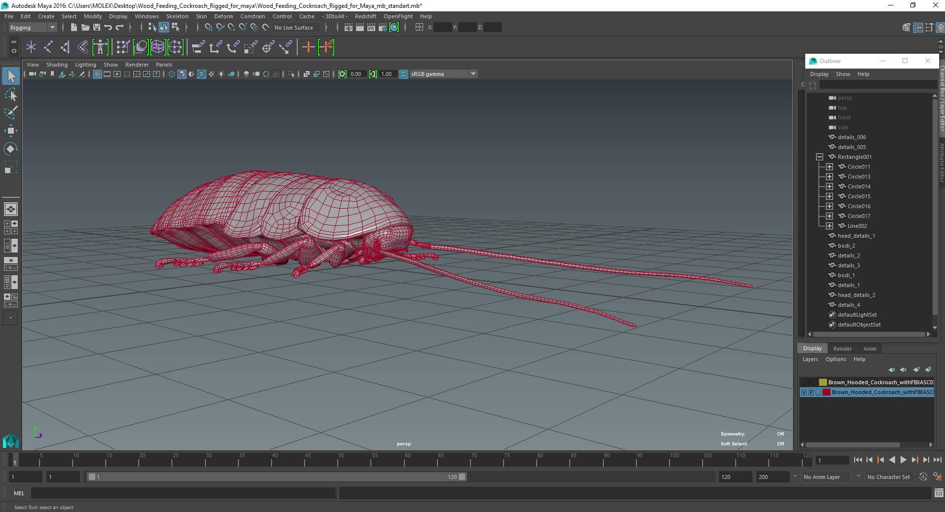 3D Wood Feeding Cockroach Rigged for Maya model