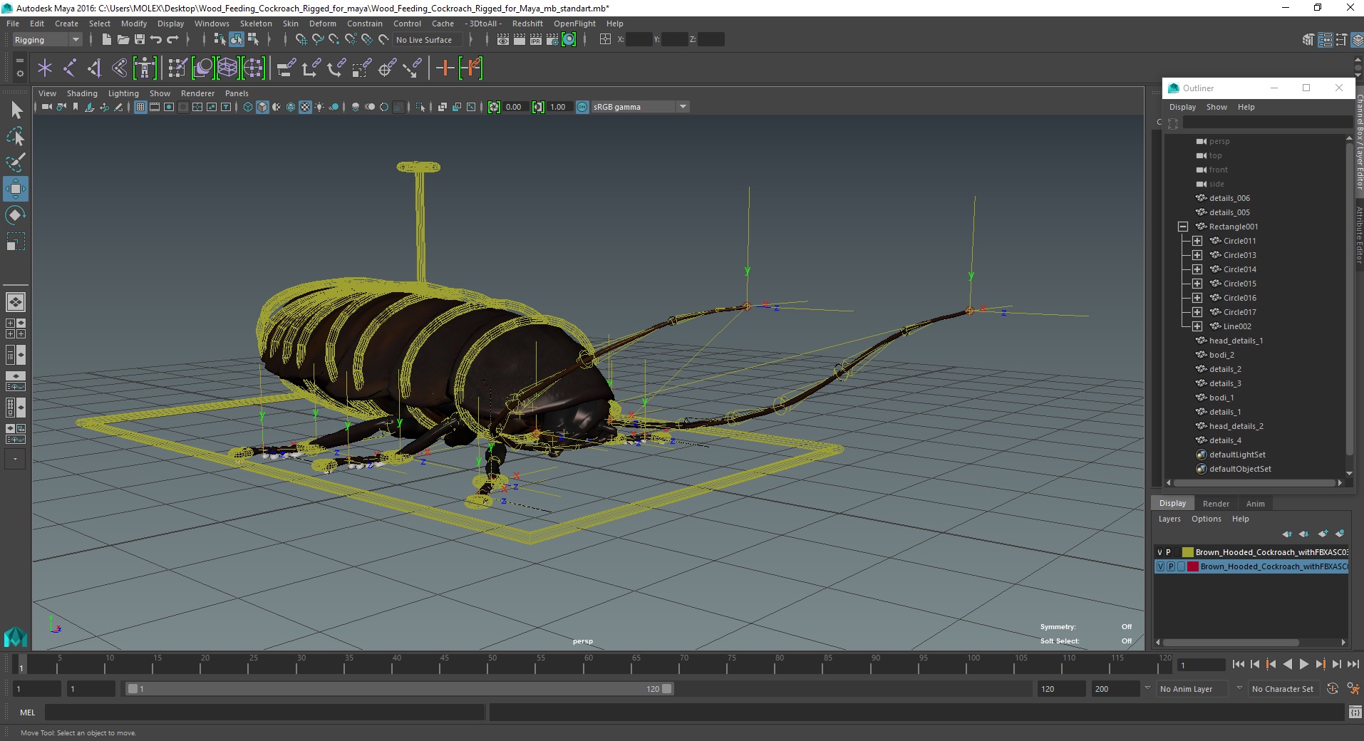 3D Wood Feeding Cockroach Rigged for Maya model