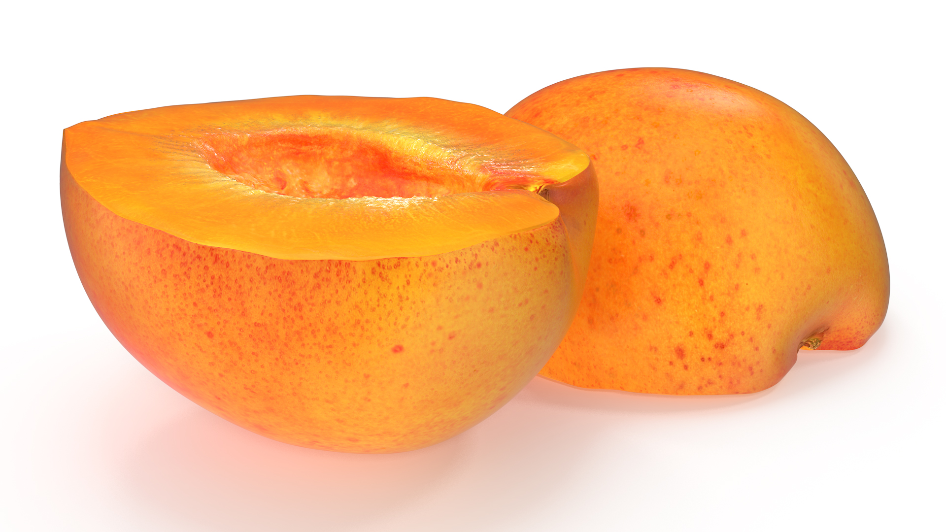 3D Half Apricot with Fruit Core model