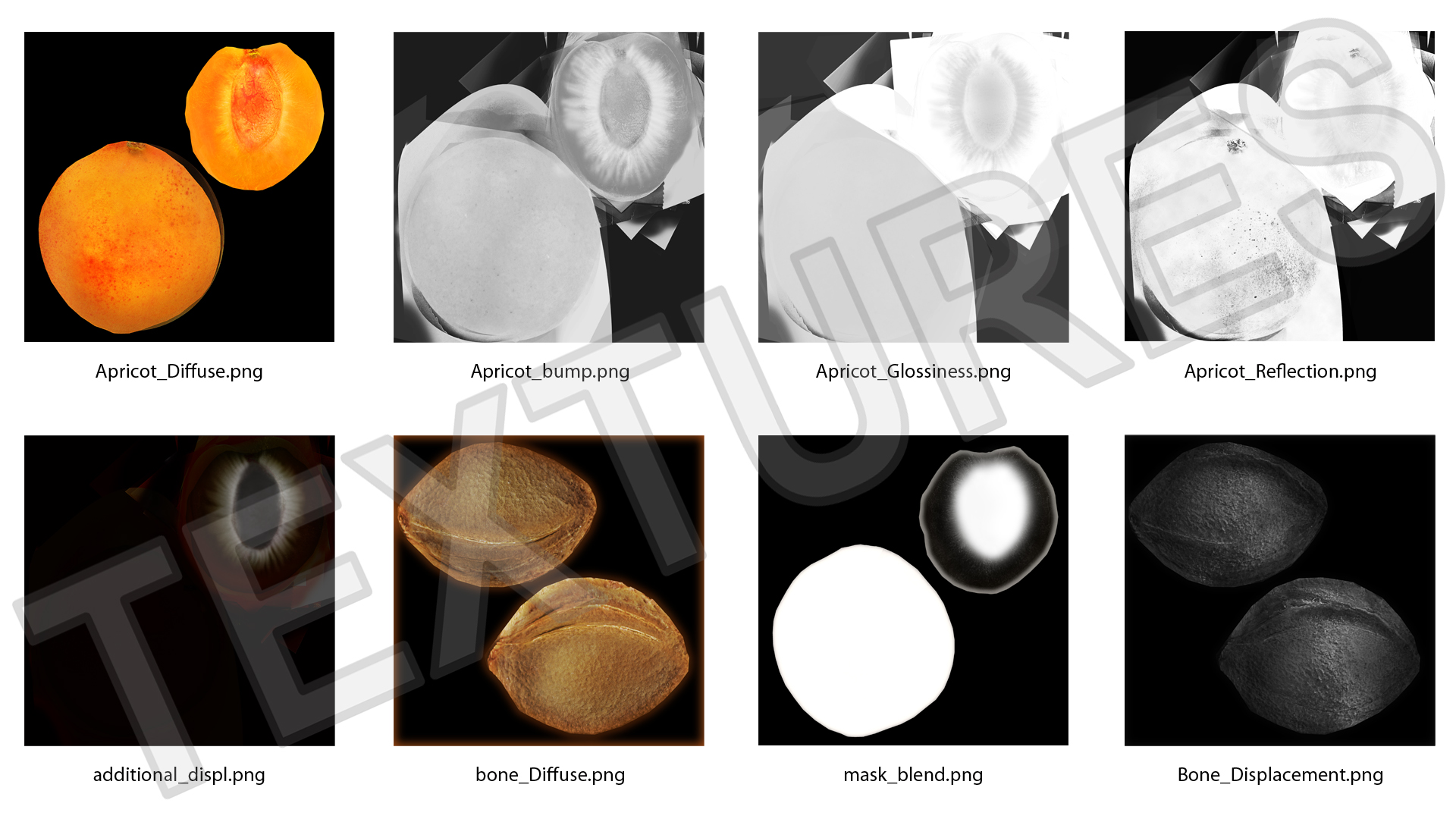 3D Half Apricot with Fruit Core model