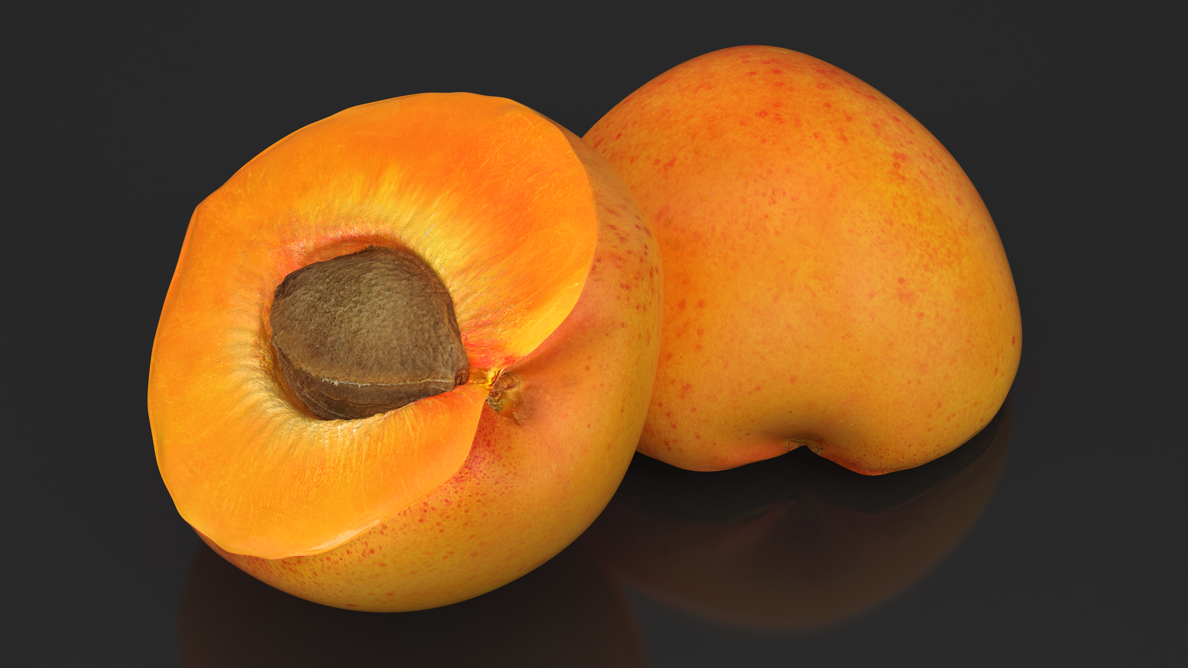 3D Half Apricot with Fruit Core model