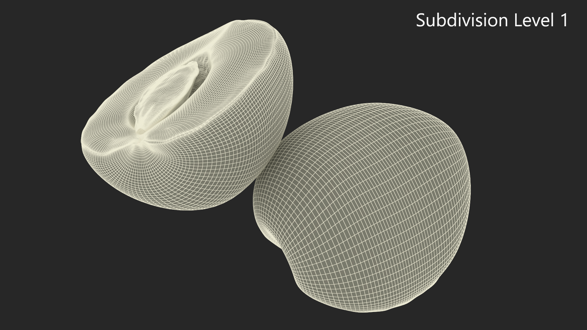 3D Half Apricot with Fruit Core model