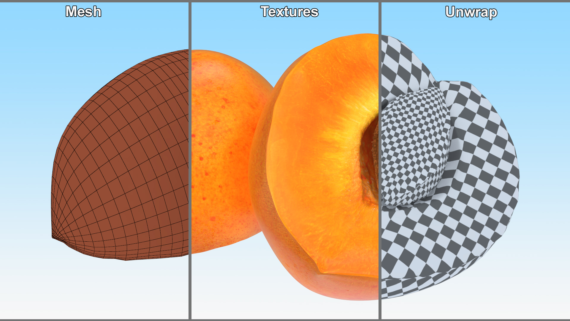 3D Half Apricot with Fruit Core model