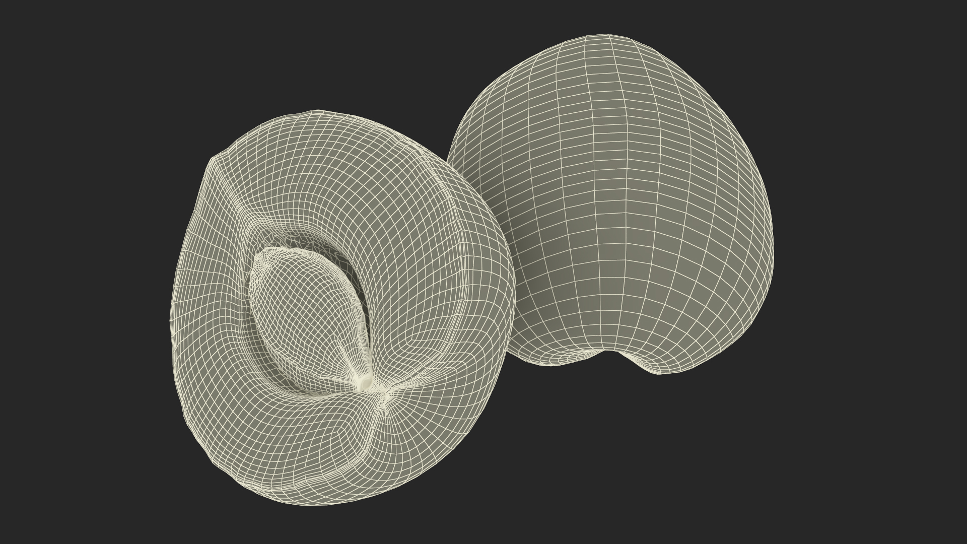 3D Half Apricot with Fruit Core model