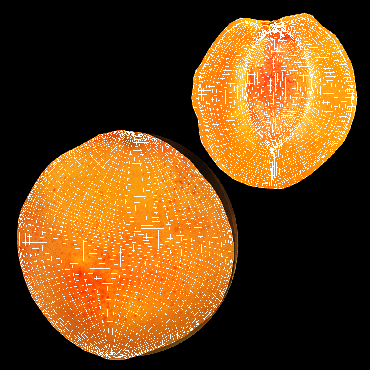 3D Half Apricot with Fruit Core model