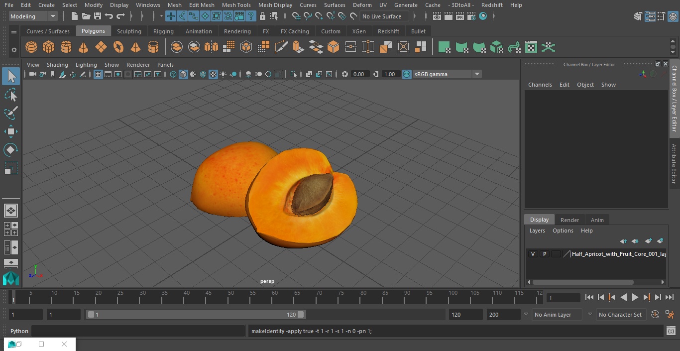 3D Half Apricot with Fruit Core model