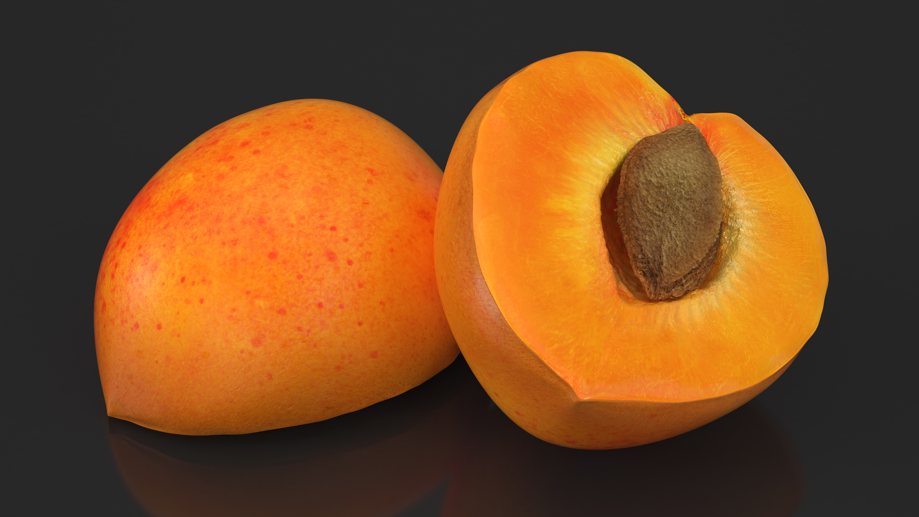 3D Half Apricot with Fruit Core model