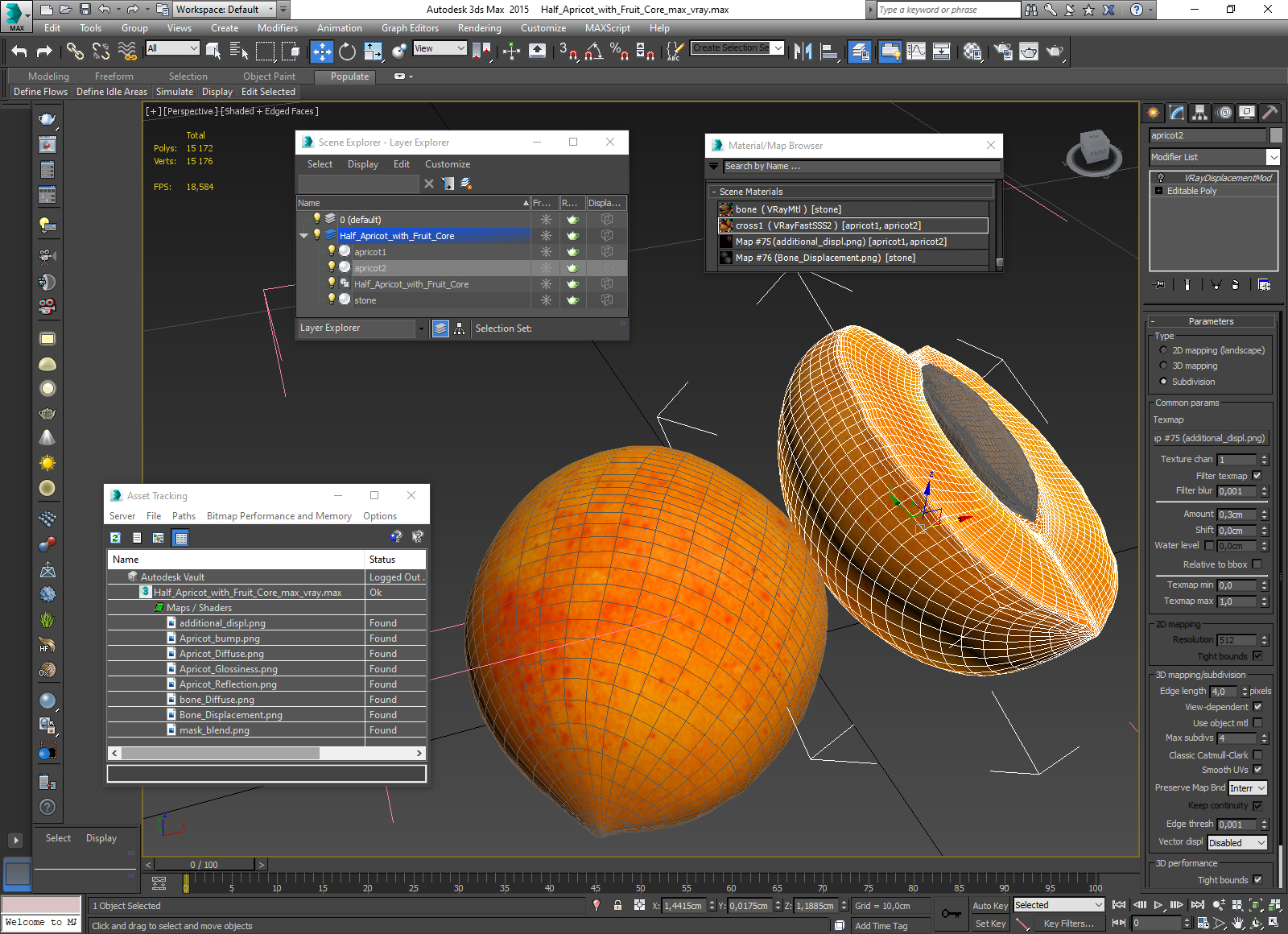 3D Half Apricot with Fruit Core model