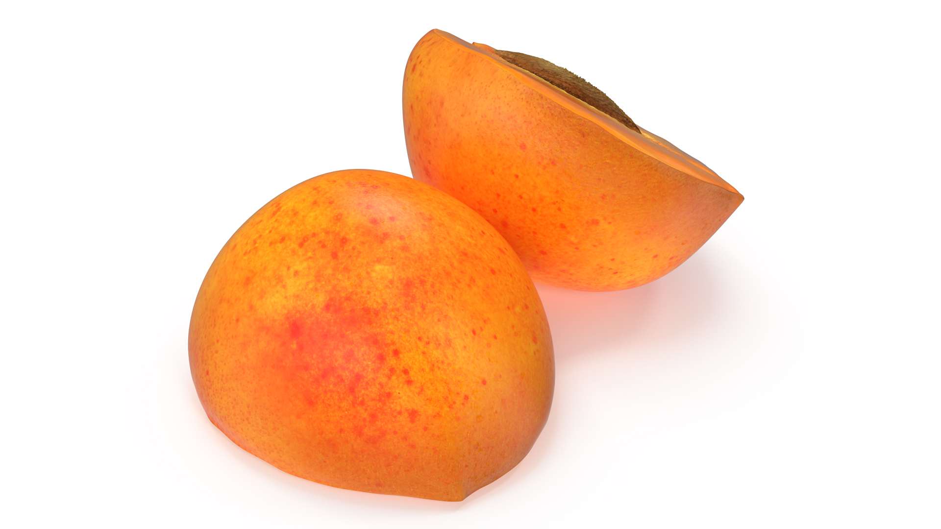 3D Half Apricot with Fruit Core model