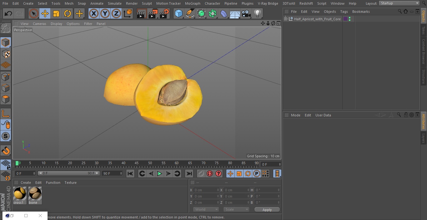 3D Half Apricot with Fruit Core model