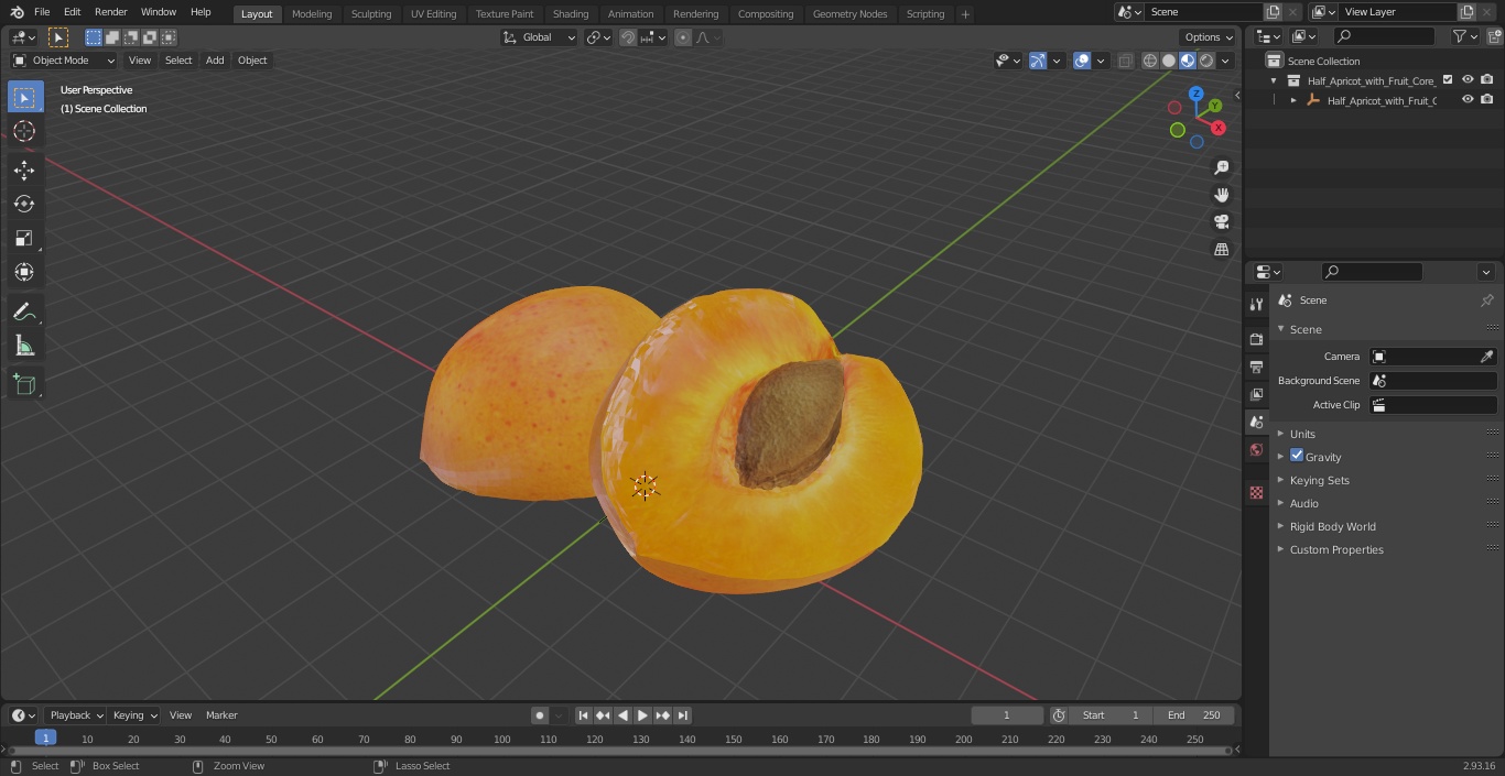 3D Half Apricot with Fruit Core model