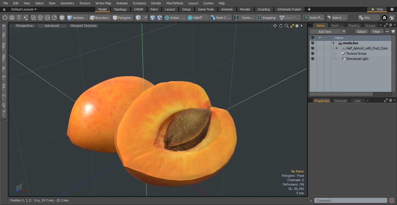 3D Half Apricot with Fruit Core model