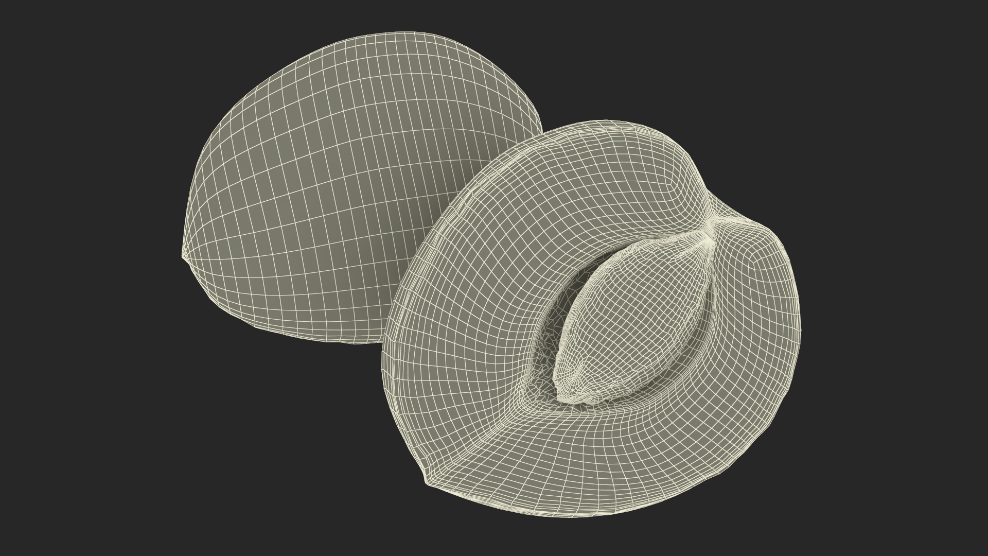 3D Half Apricot with Fruit Core model